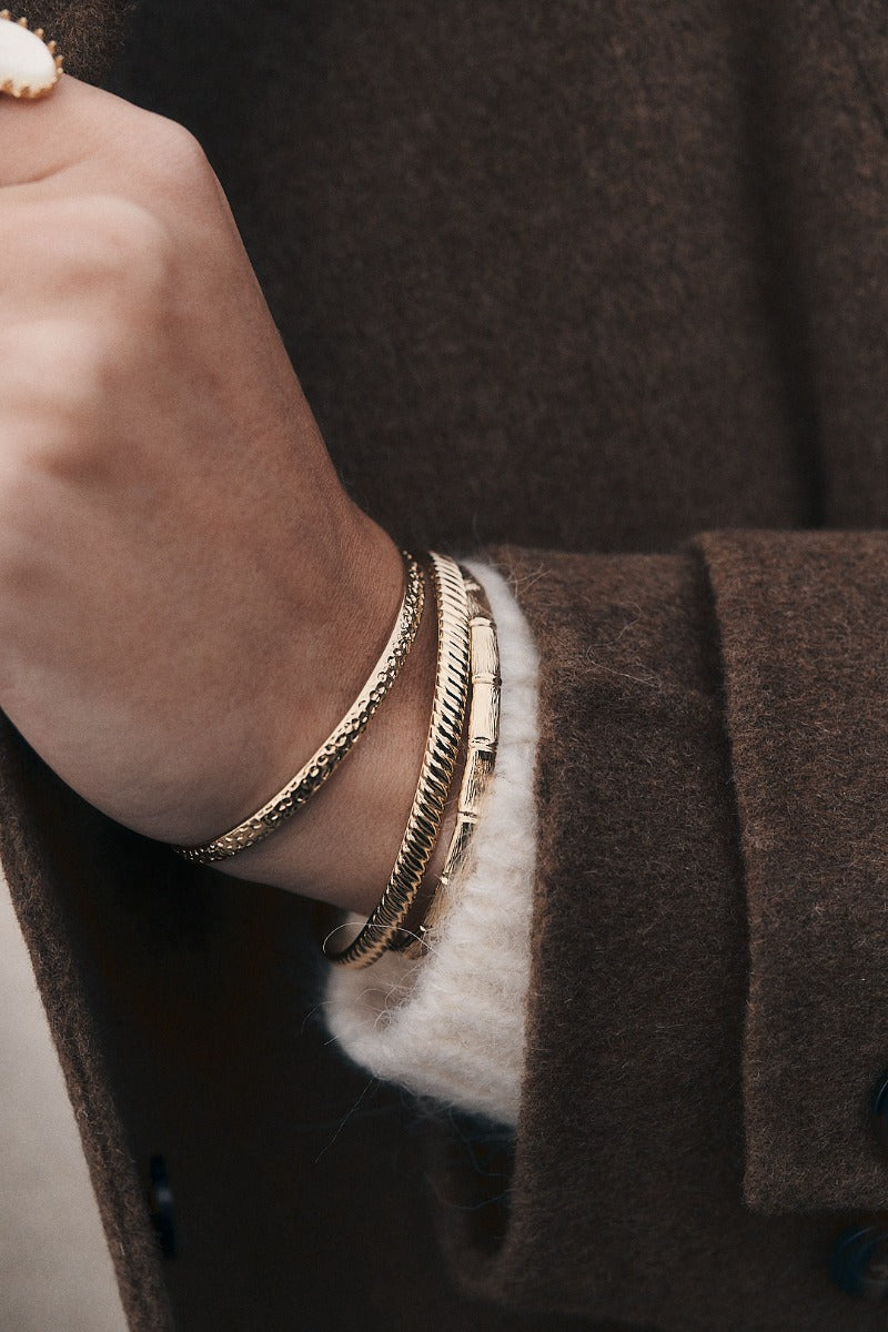 Blaise Bangle