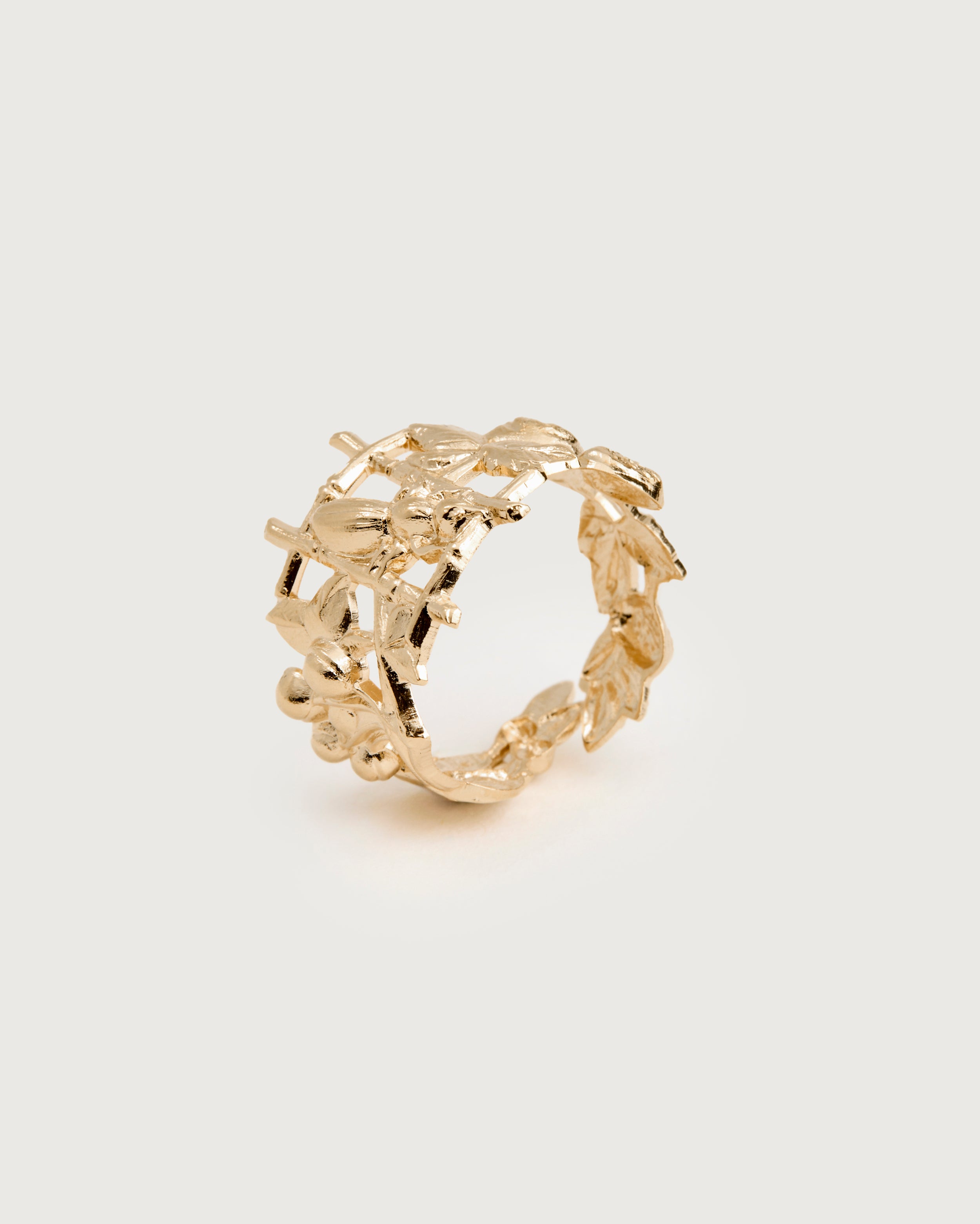 Isel Ring